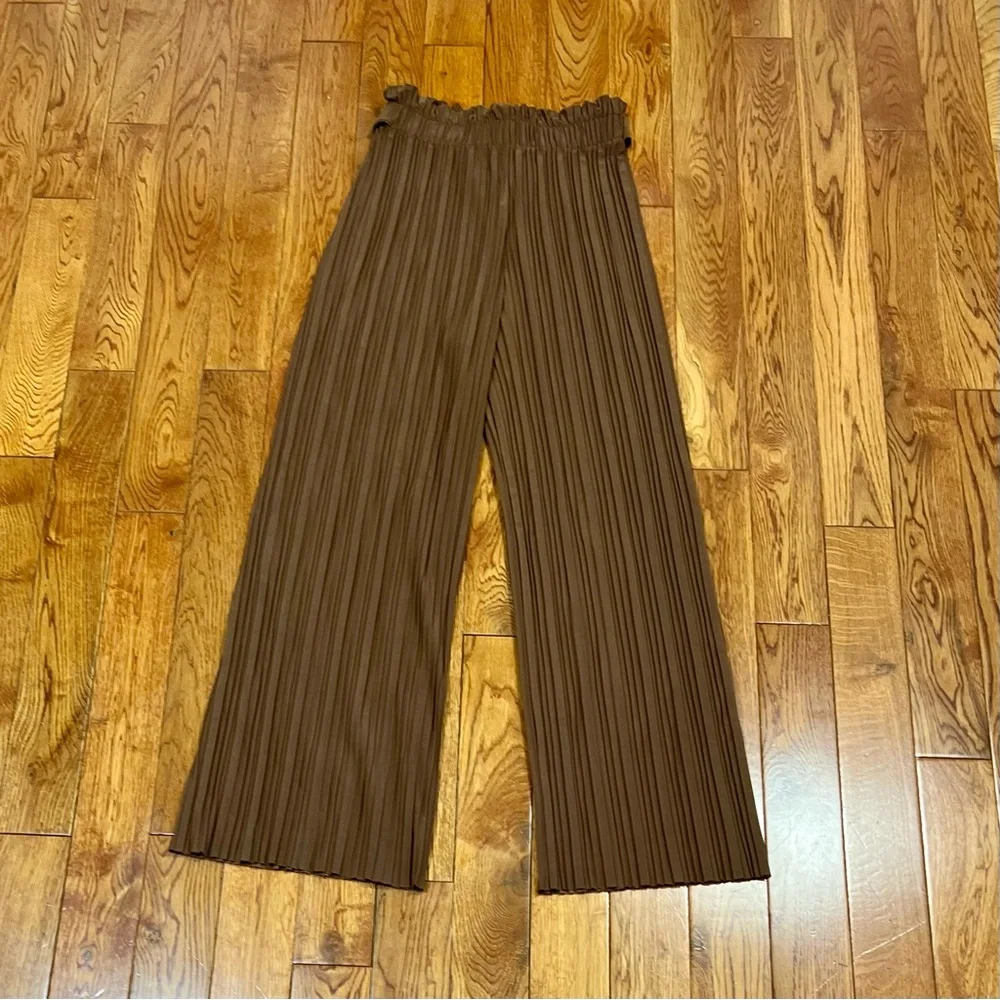 Brown Pleated Wide-Leg Pants - Picture 2 of 3